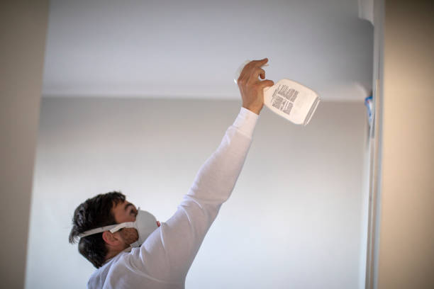Best Fast Mold Removal  in Selmer, TN
