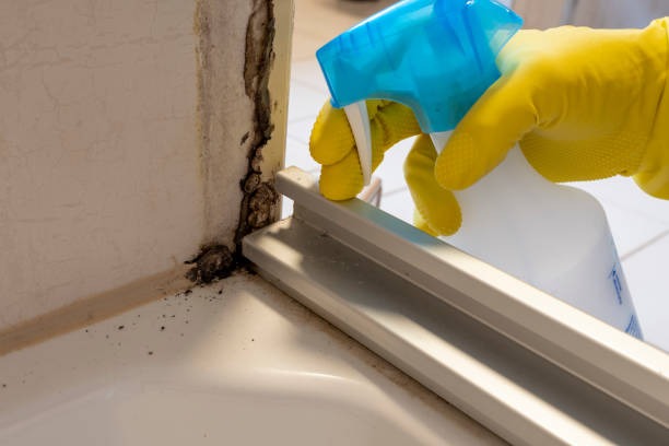 Best Mold Removal Specialists  in Selmer, TN